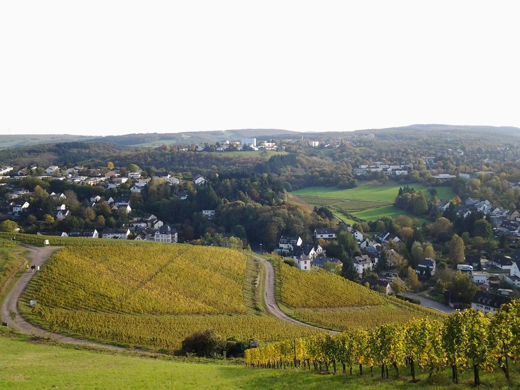 Ferienwohnung Saar-Mosel-Tal Konz Exterior foto
